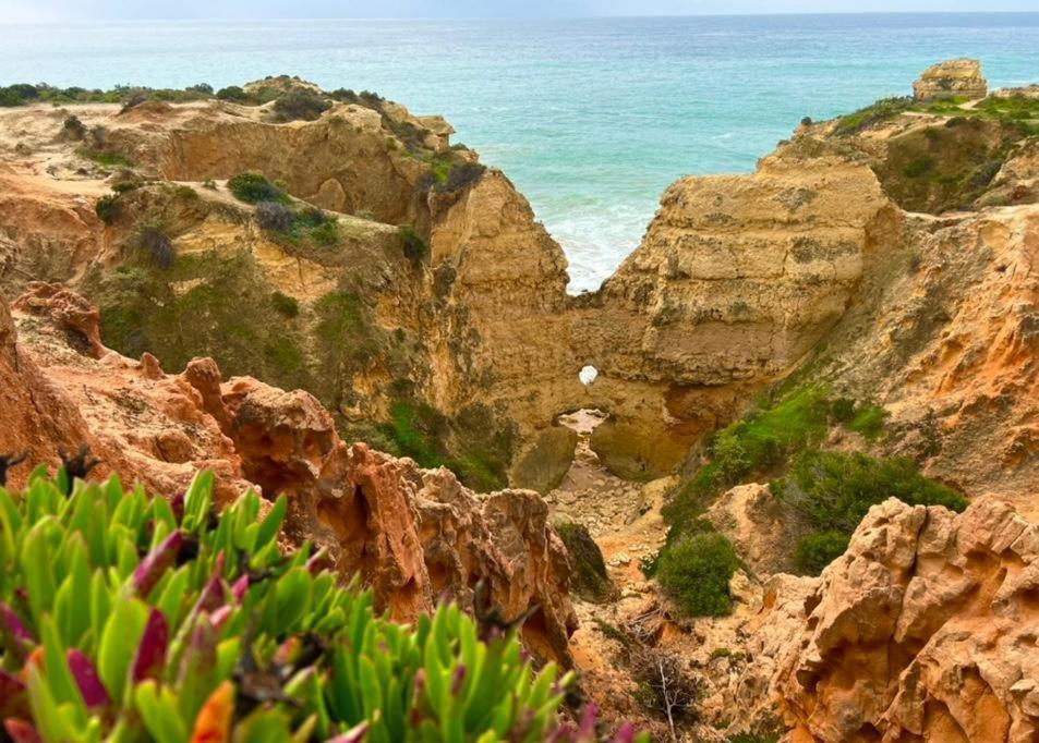 Marina Zen Apartment - Orada, Albufeira Exterior foto